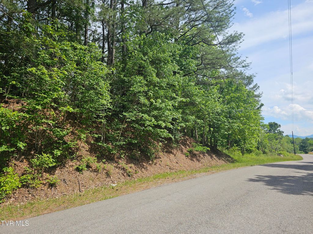 Photo of Tbd Old Hurricane Road, Wise, VA 24293 (MLS # 9996218)