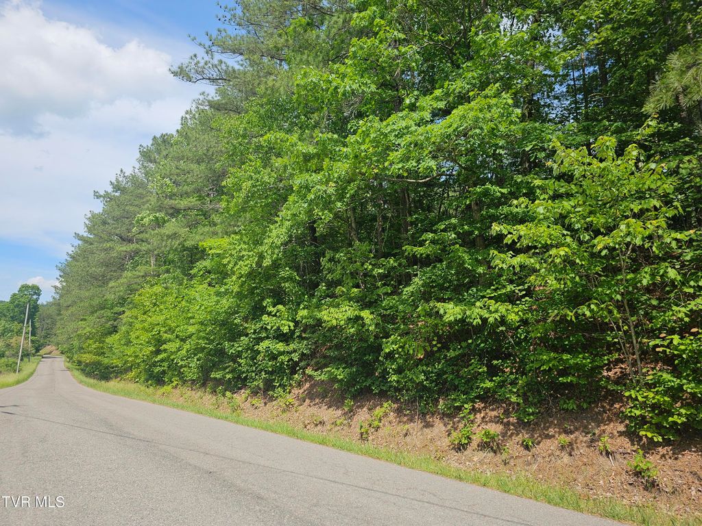 Photo of Tbd Old Hurricane Road, Wise, VA 24293 (MLS # 9996218)