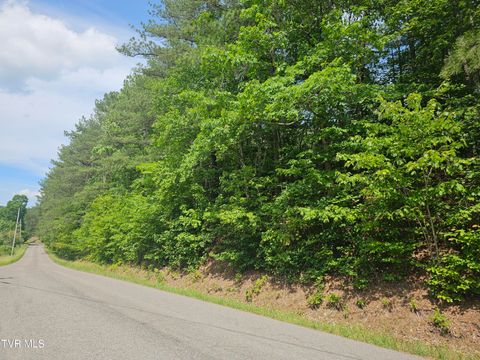 Vacant Land For Sale - TBD Old Hurricane Road<br/> Wise County, Wise, VA 24293