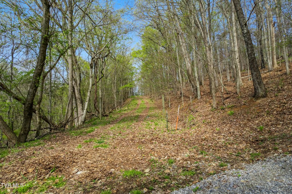 Photo of 5 Clemmer Drive, Chuckey, TN 37641 (MLS # 9993772)