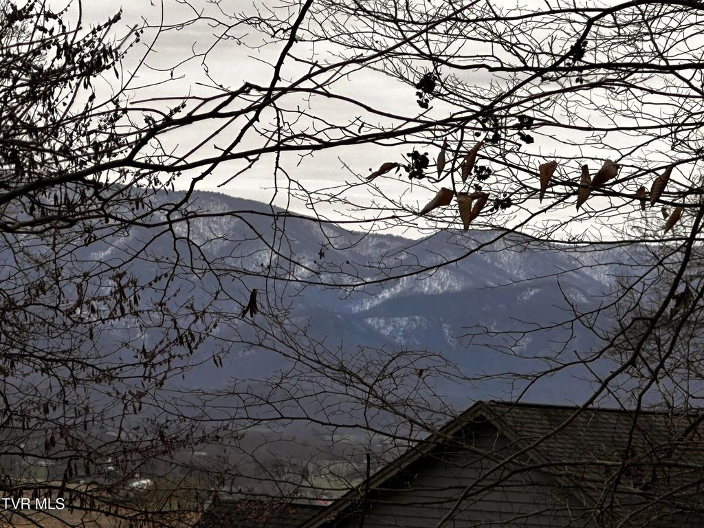 Photo of 5 Clemmer Drive, Chuckey, TN 37641 (MLS # 9993772)