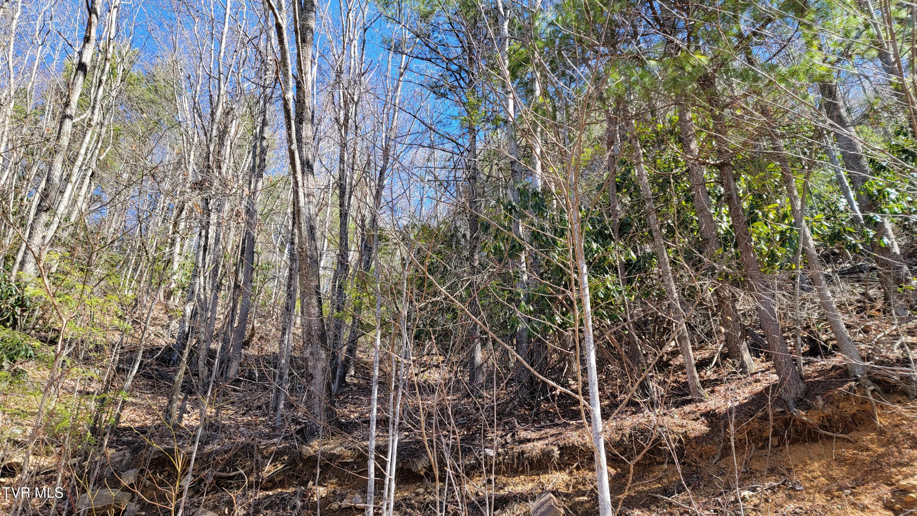 00 Antioch Road, Mountain City, Tennessee image 6