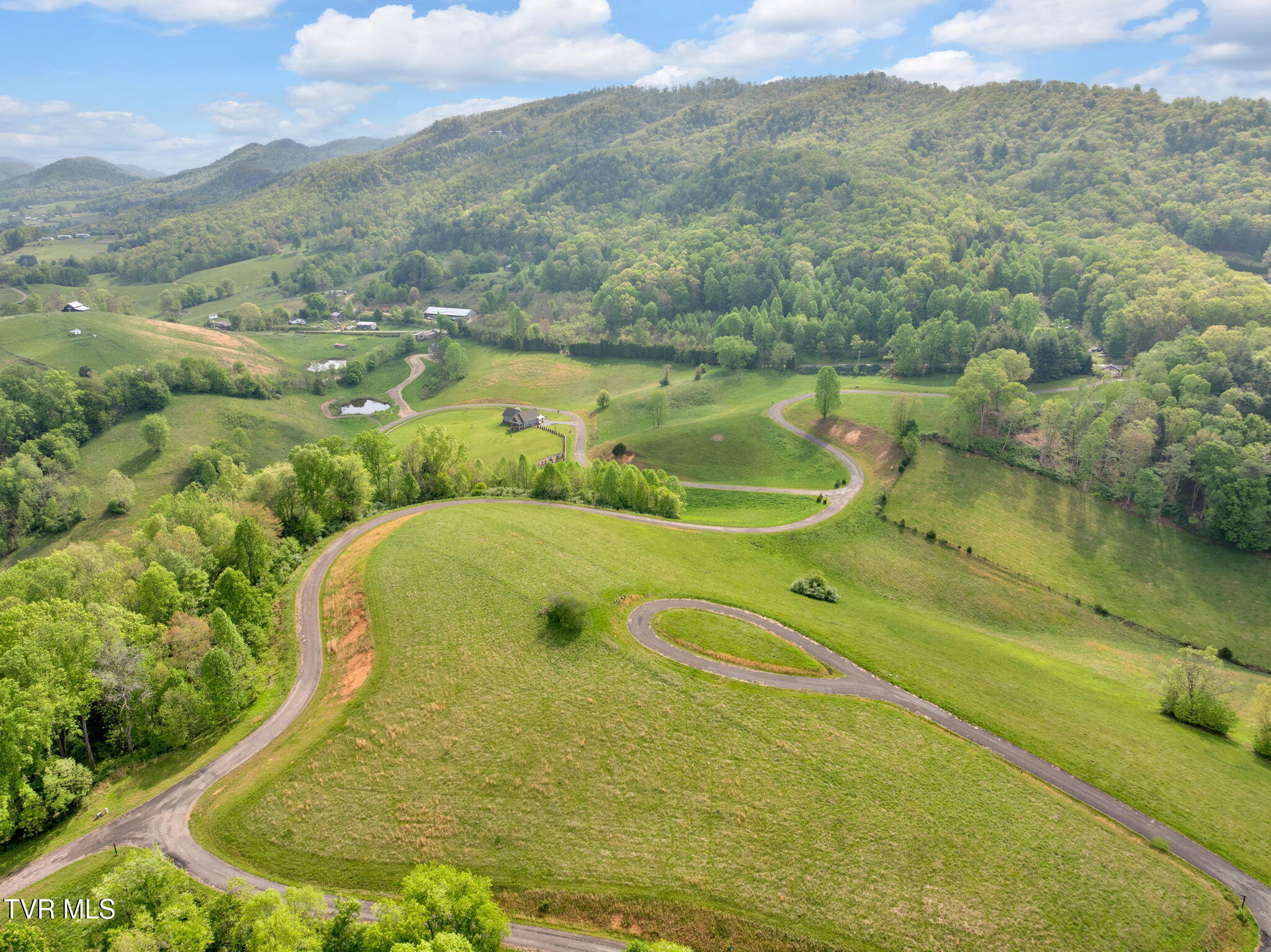 Lot 71 Maple Wood Road, Butler, Tennessee image 11