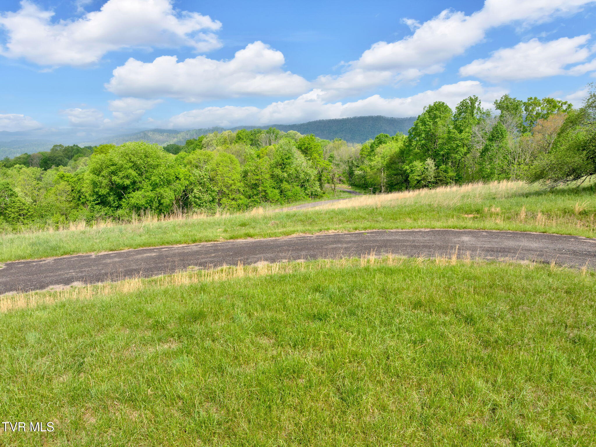 Lot 71 Maple Wood Road, Butler, Tennessee image 14