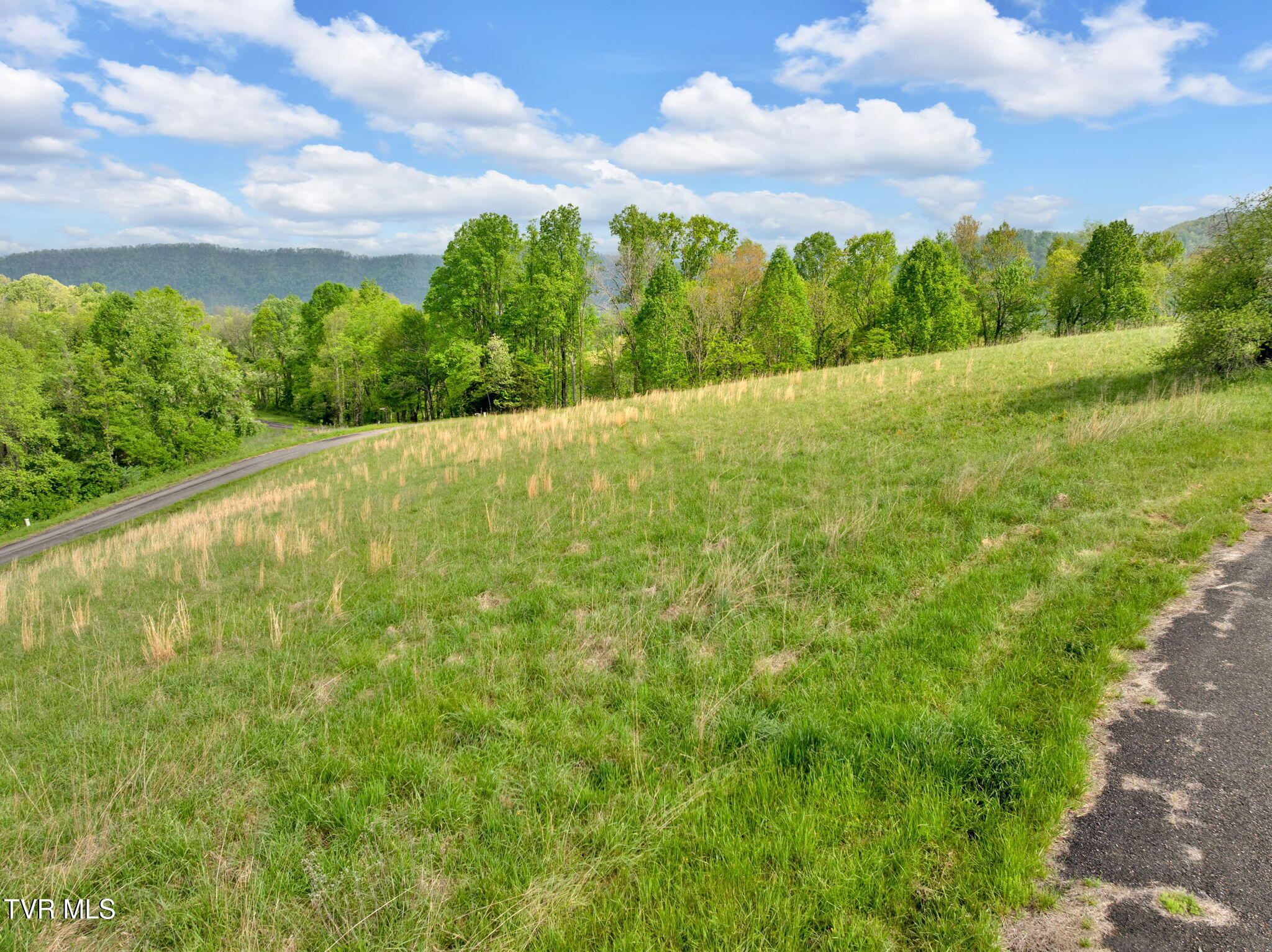 Lot 71 Maple Wood Road, Butler, Tennessee image 15