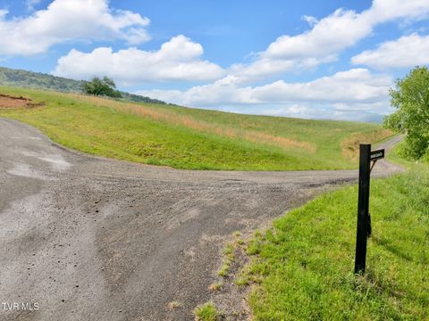 Vacant Land For Sale - LOT 71 Maple Wood Drive<br/> Johnson County, Butler, TN 37640