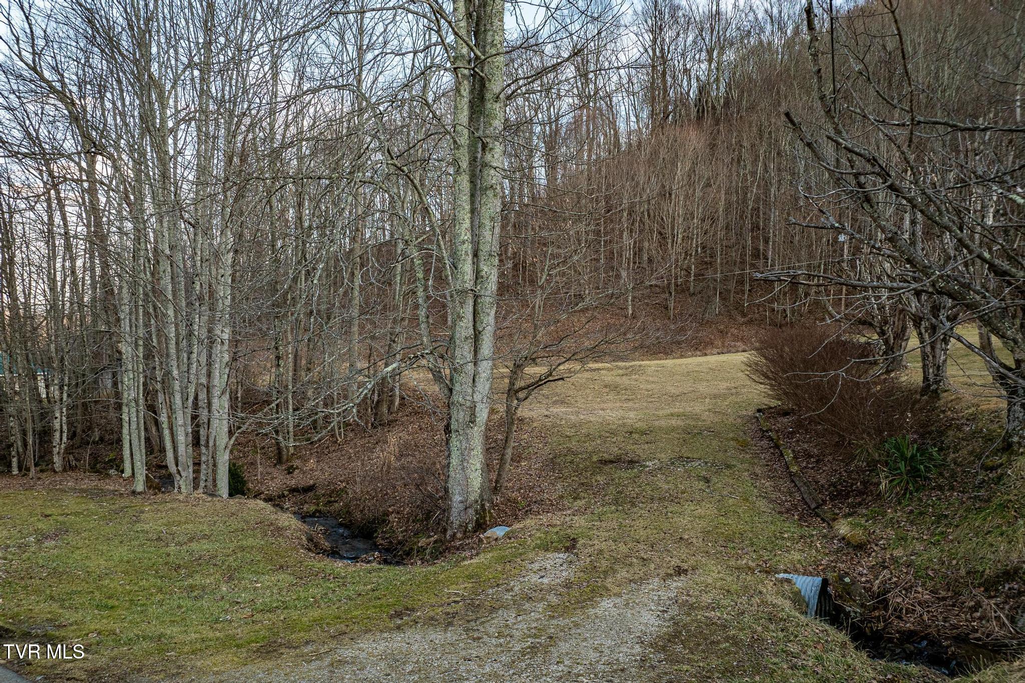 129 Duck Branch Road, Roan Mountain, Tennessee image 13