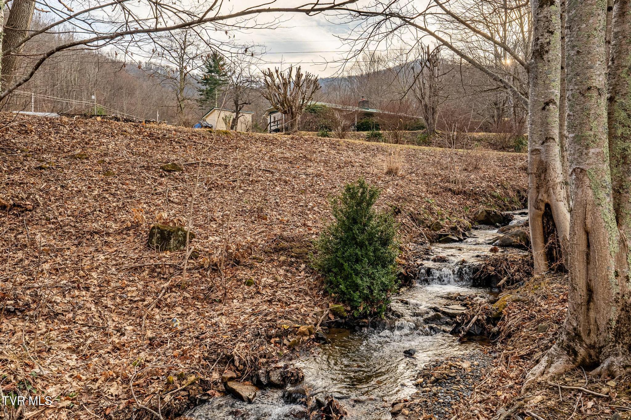 129 Duck Branch Road, Roan Mountain, Tennessee image 44