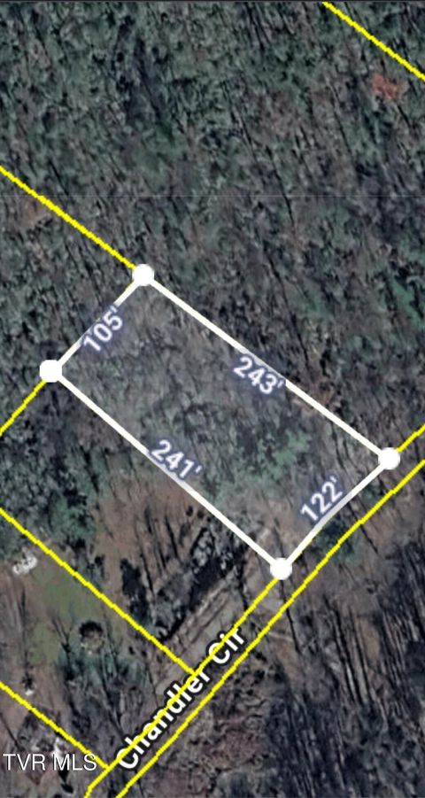 Vacant Land For Sale - TBD Chandler Circle<br/> Greene County, Greeneville, TN 37743