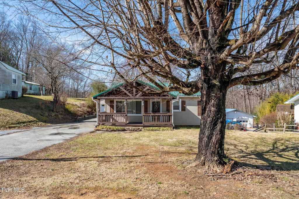 Photo of 1203 Barton Street, Johnson City, TN 37604 (MLS # 9991547)