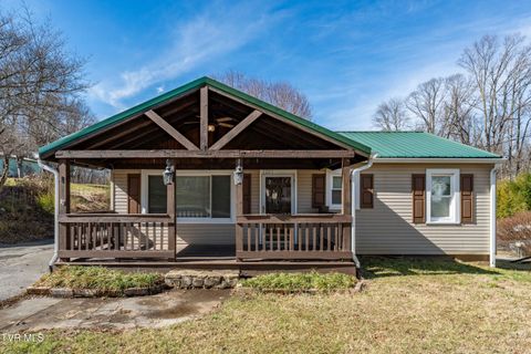 Homes For Sale - 1203 Barton Street<br/> Washington County, Johnson City, TN 37604