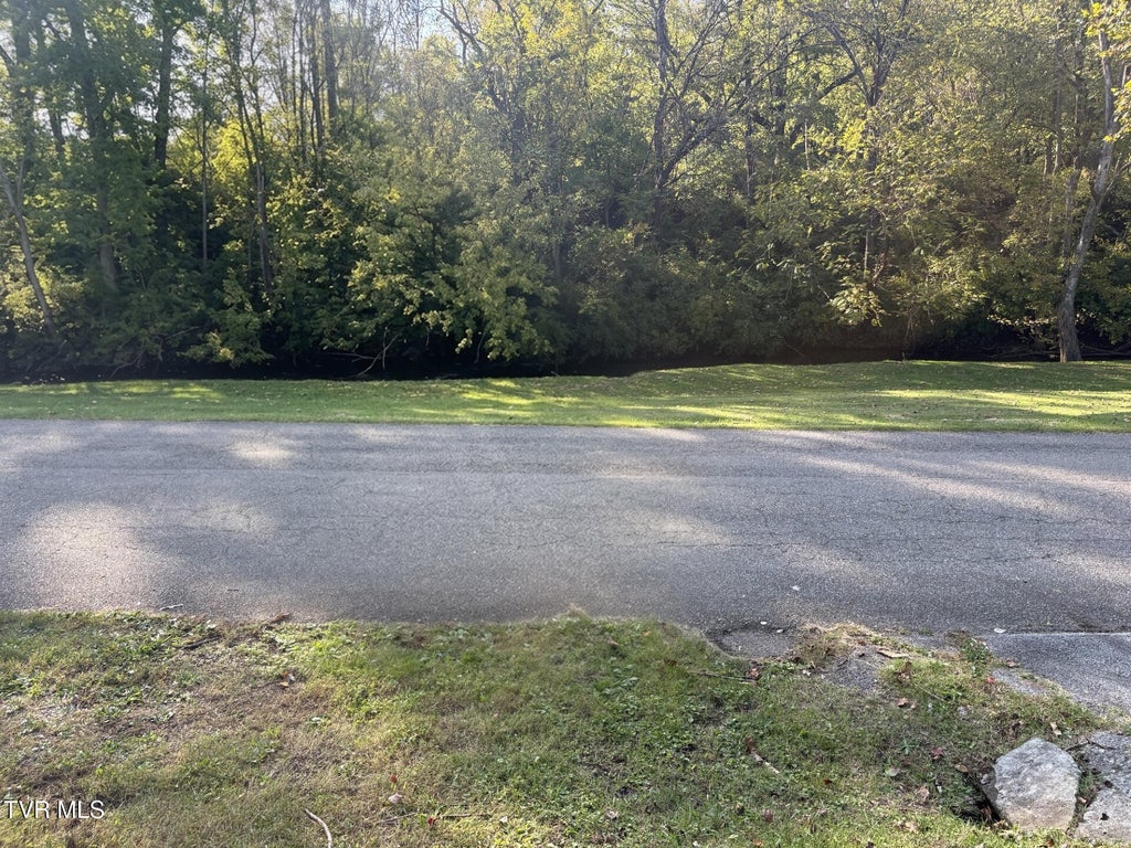 Photo of 245 Mumpower Drive, Bristol, VA 24201 (MLS # 10002518)