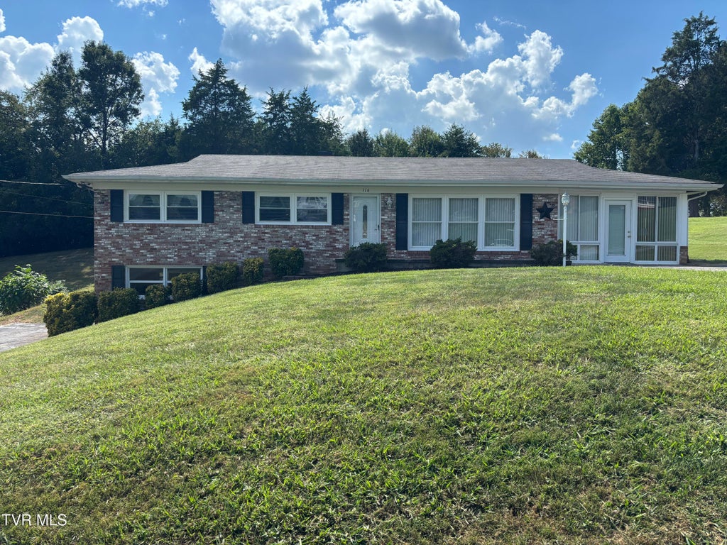 Photo of 316 Stuffle Street, Kingsport, TN 37660 (MLS # 10000509)