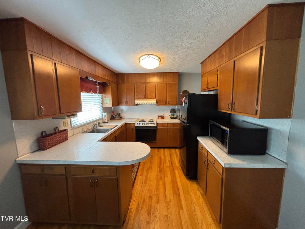 Photo of 316 Stuffle Street, Kingsport, TN 37660 (MLS # 10000509)