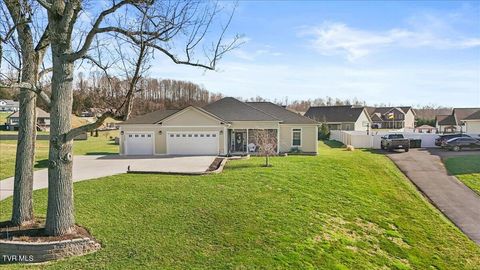 Photo of 1336 Harmony Road, Jonesborough, TN 37659 (MLS # 9992177)