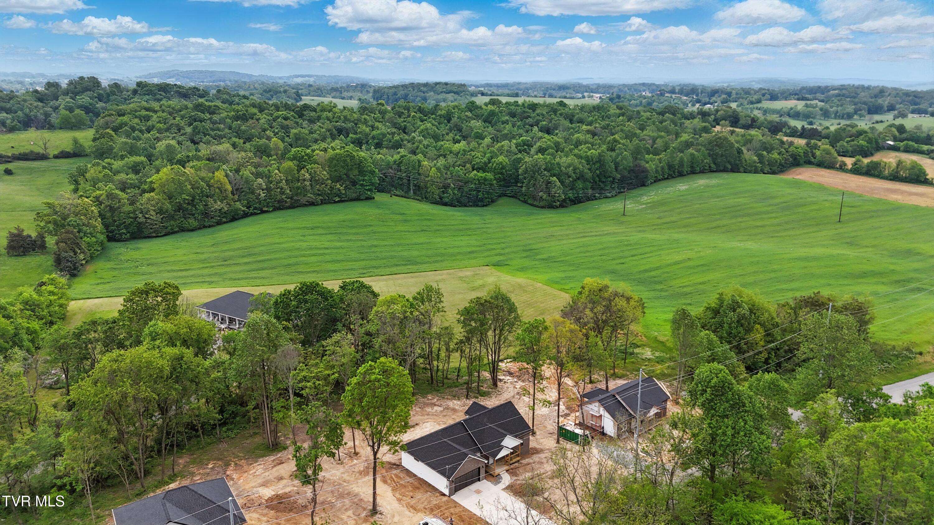 173 Paynetown Rd Road, Telford, Tennessee image 26