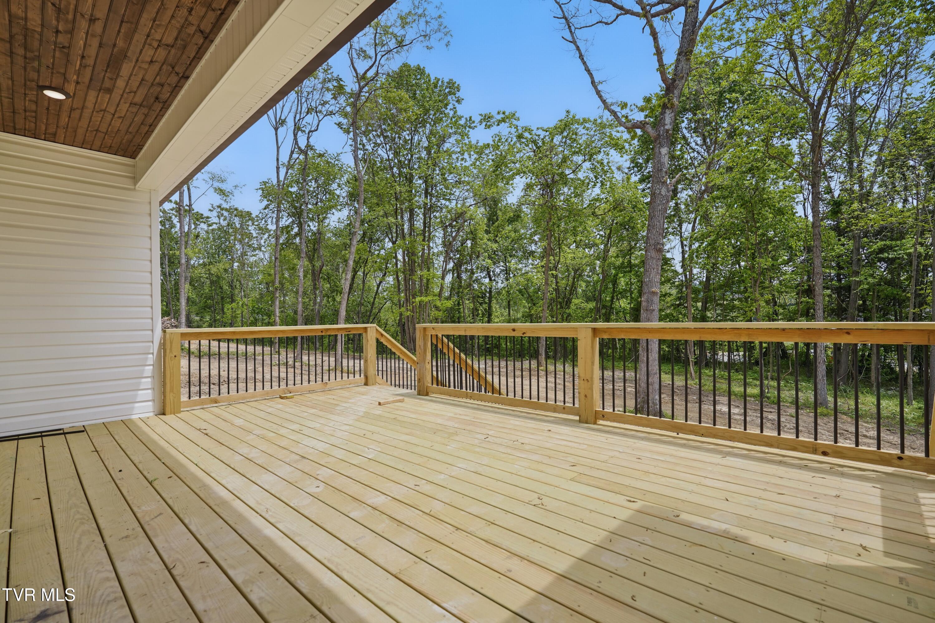 173 Paynetown Rd Road, Telford, Tennessee image 22