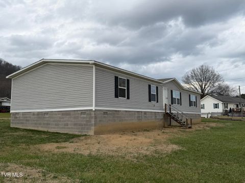 Photo of 249 Dabeej Drive, Mooresburg, TN 37811 (MLS # 9989652)