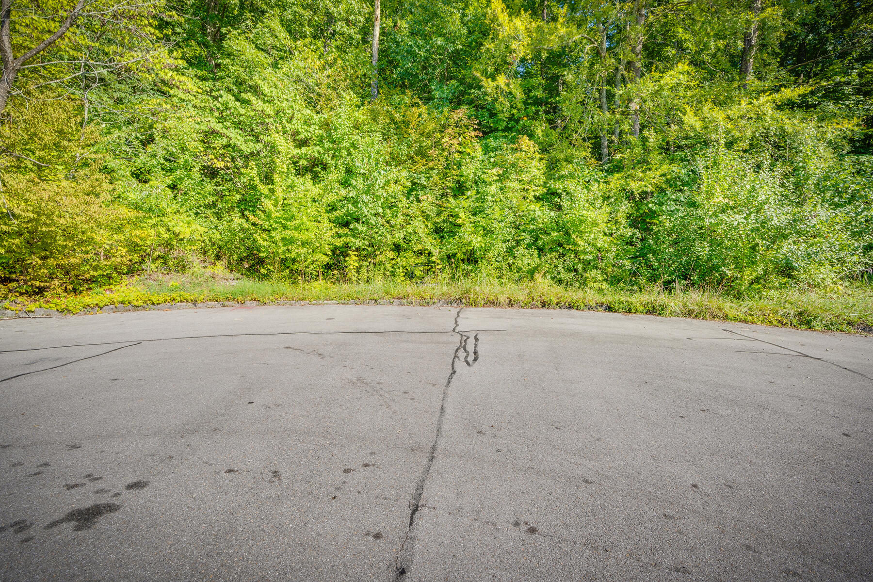 Tbd White Hawk Way, Kingsport, Tennessee image 6