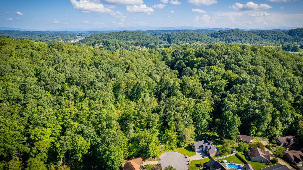 Photo of Tbd White Hawk Way, Kingsport, TN 37663 (MLS # 9957312)