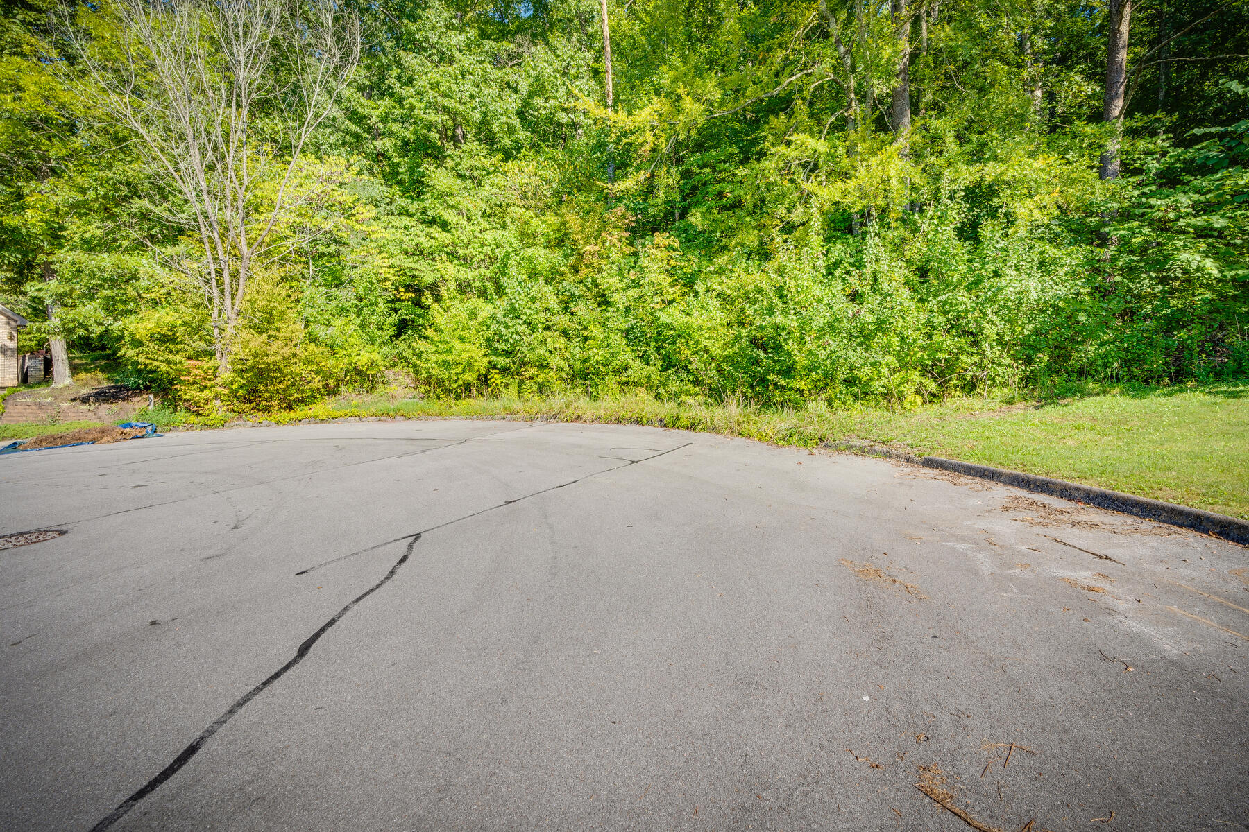Tbd White Hawk Way, Kingsport, Tennessee image 5