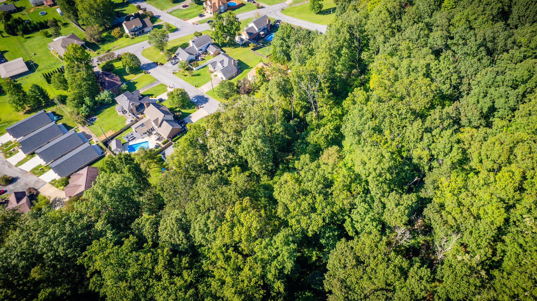 Tbd White Hawk Way, Kingsport, Tennessee image 2