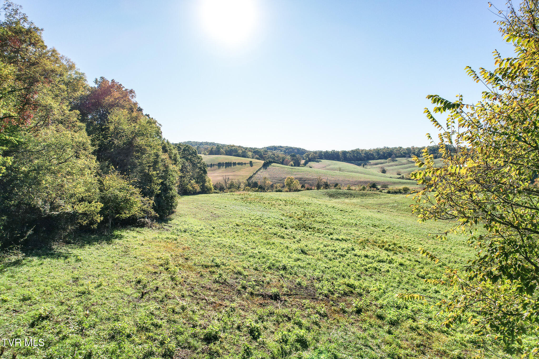 Lot 5 Burkey Road, Greeneville, Tennessee image 20