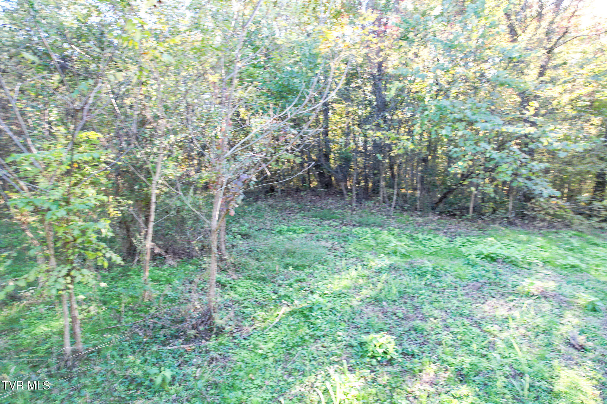 Lot 5 Burkey Road, Greeneville, Tennessee image 23