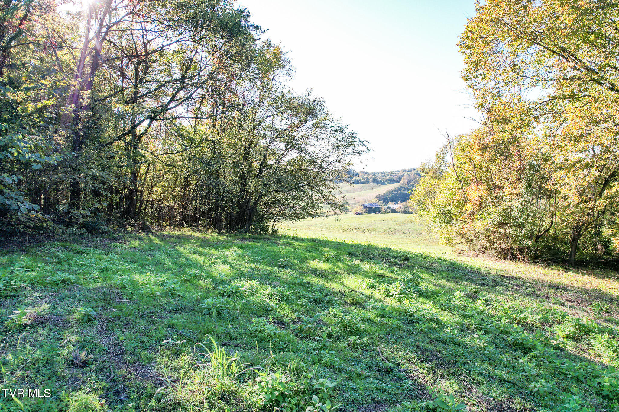 Lot 5 Burkey Road, Greeneville, Tennessee image 22