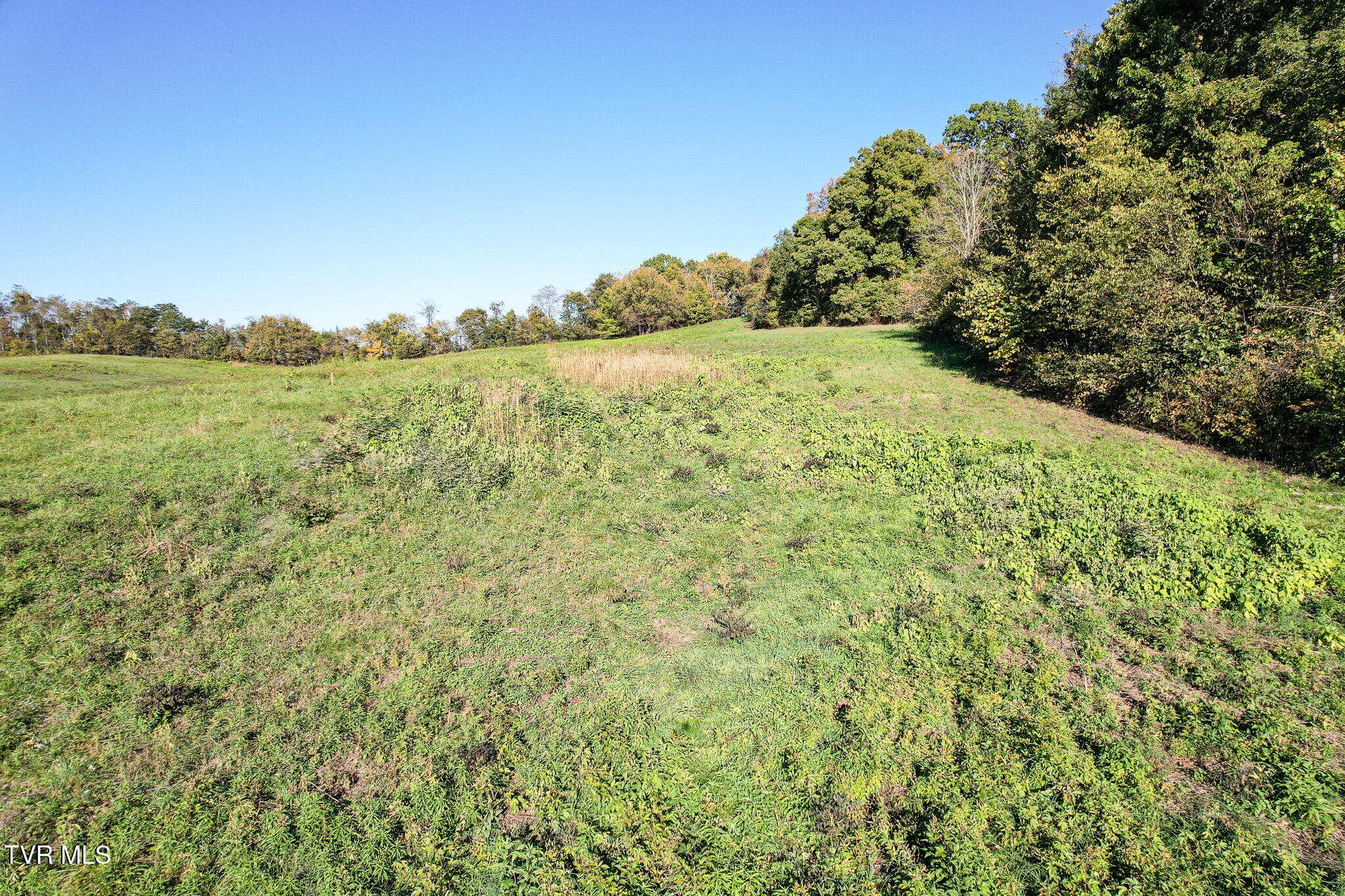 Lot 5 Burkey Road, Greeneville, Tennessee image 16