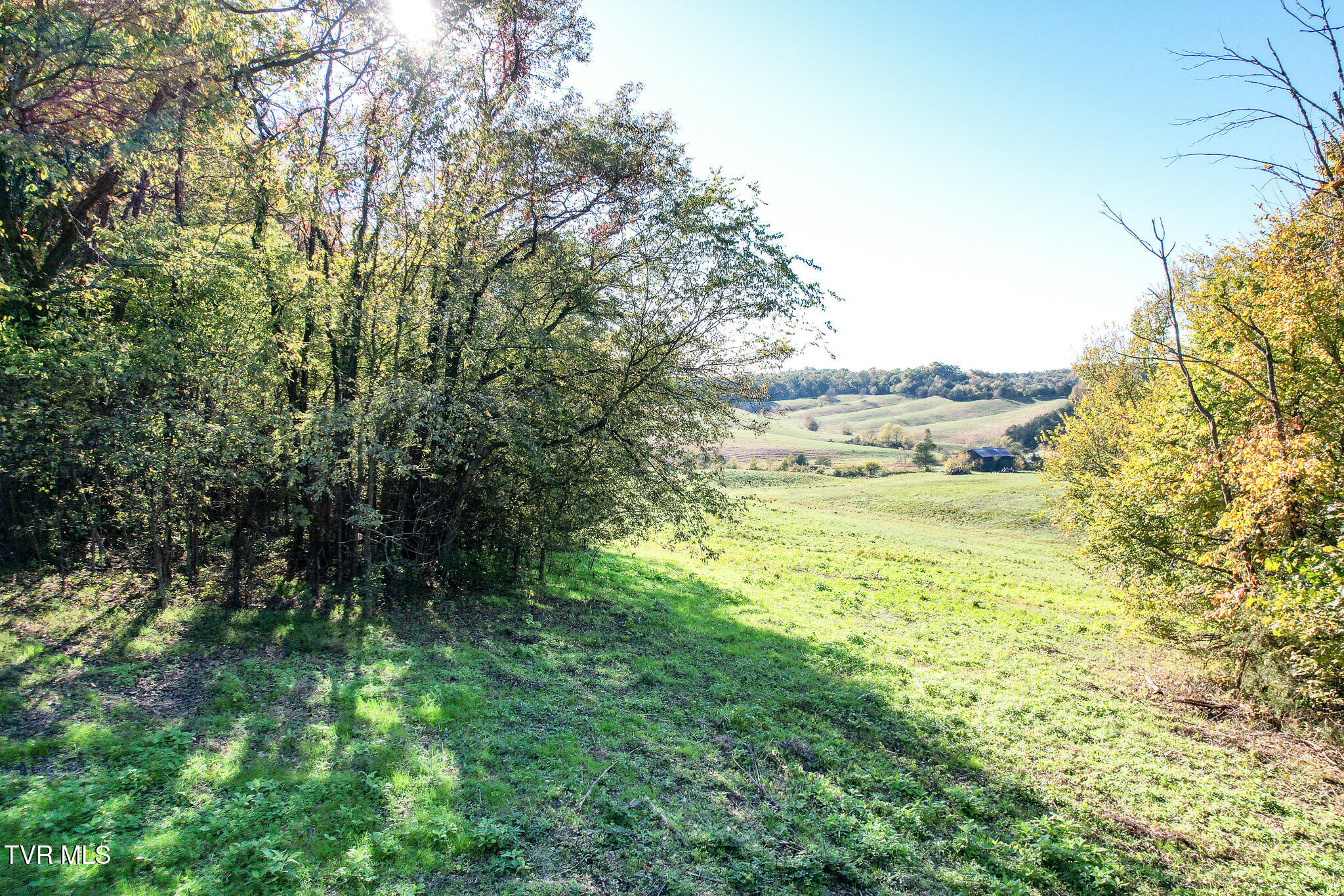 Lot 5 Burkey Road, Greeneville, Tennessee image 21