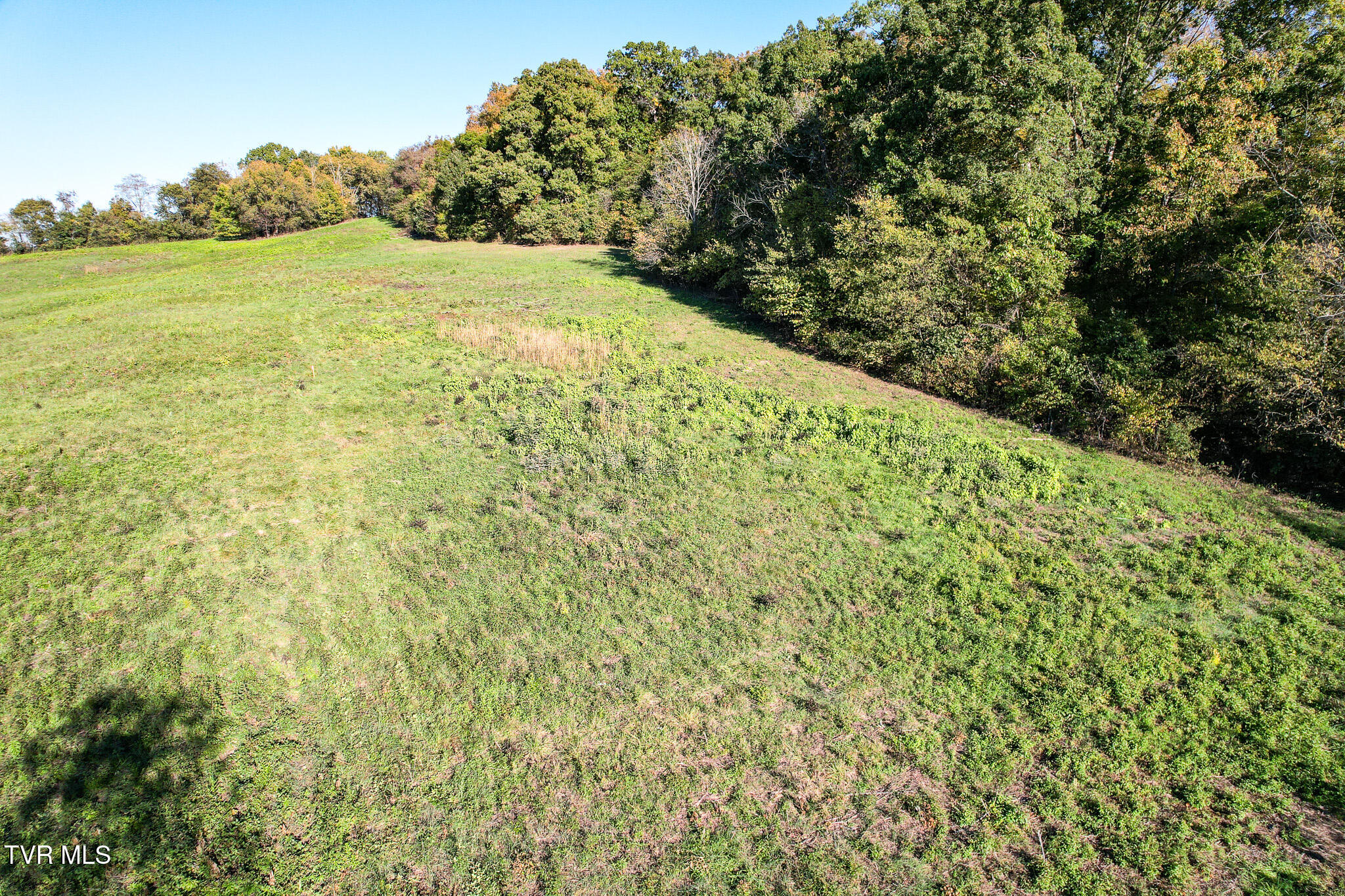 Lot 5 Burkey Road, Greeneville, Tennessee image 15
