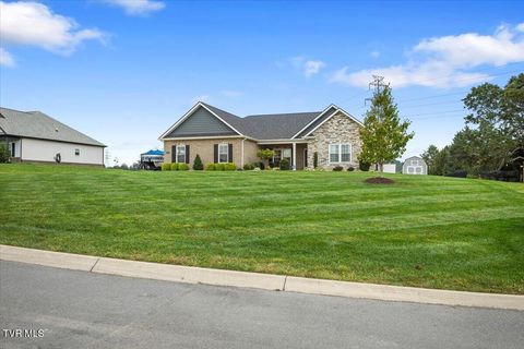 Tiny photo for 477 Boulder Court, Johnson City, TN 37615 (MLS # 9986419)