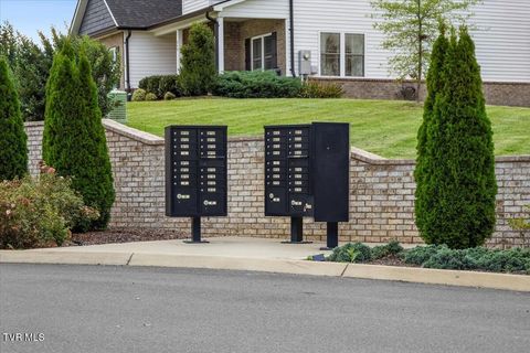 Tiny photo for 477 Boulder Court, Johnson City, TN 37615 (MLS # 9986419)
