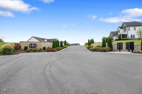 Tiny photo for 477 Boulder Court, Johnson City, TN 37615 (MLS # 9986419)