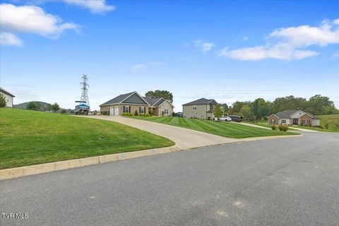 Tiny photo for 477 Boulder Court, Johnson City, TN 37615 (MLS # 9986419)