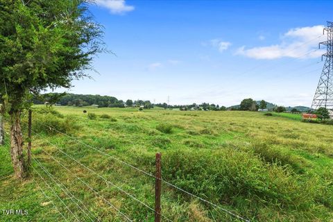 Tiny photo for 477 Boulder Court, Johnson City, TN 37615 (MLS # 9986419)