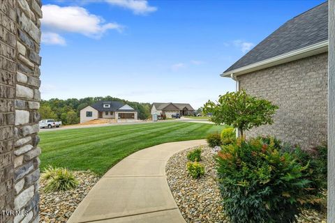 Tiny photo for 477 Boulder Court, Johnson City, TN 37615 (MLS # 9986419)