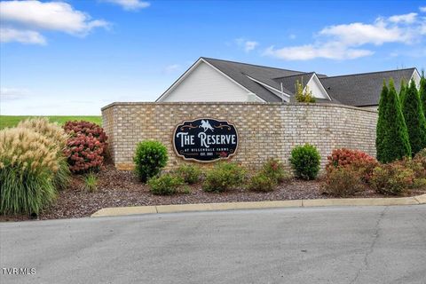 Tiny photo for 477 Boulder Court, Johnson City, TN 37615 (MLS # 9986419)