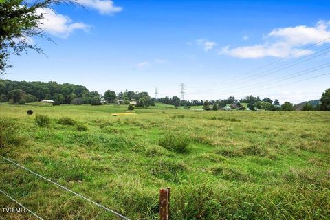 Tiny photo for 477 Boulder Court, Johnson City, TN 37615 (MLS # 9986419)