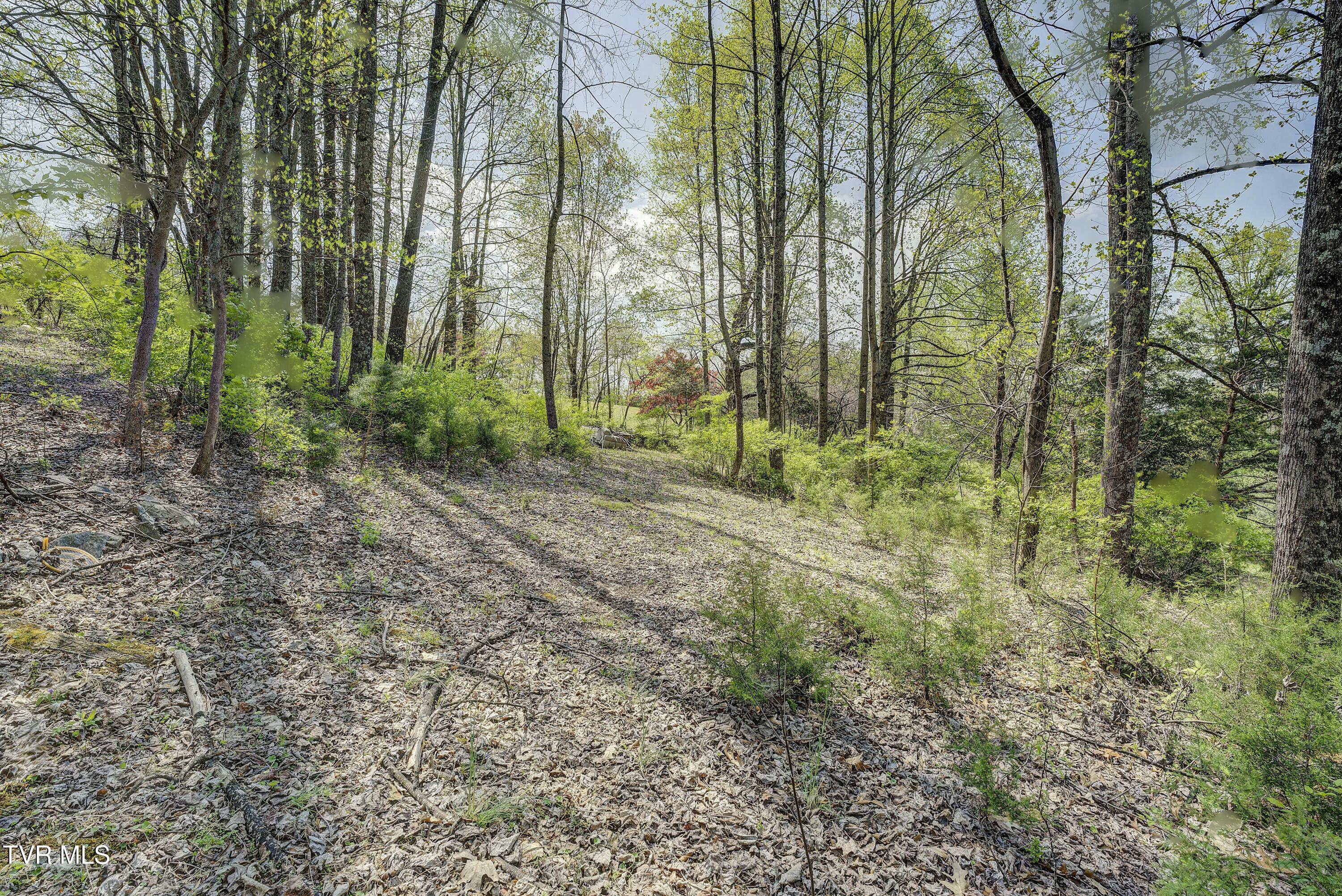 120 Dukes Drive, Elizabethton, Tennessee image 33