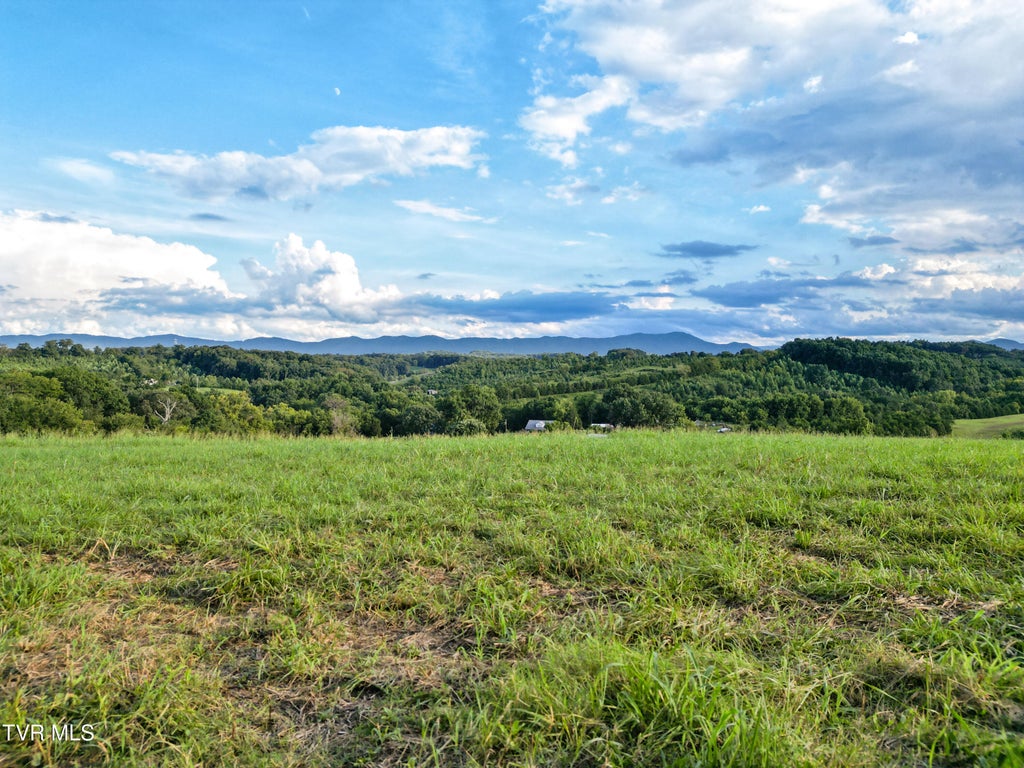 Photo of Tbd Poplar Springs Road, Greeneville, TN 37743 (MLS # 10000242)