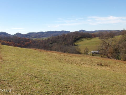Vacant Land For Sale - 107 Edgewood/crusenberry Rd Road<br/> Saltville, VA 24370