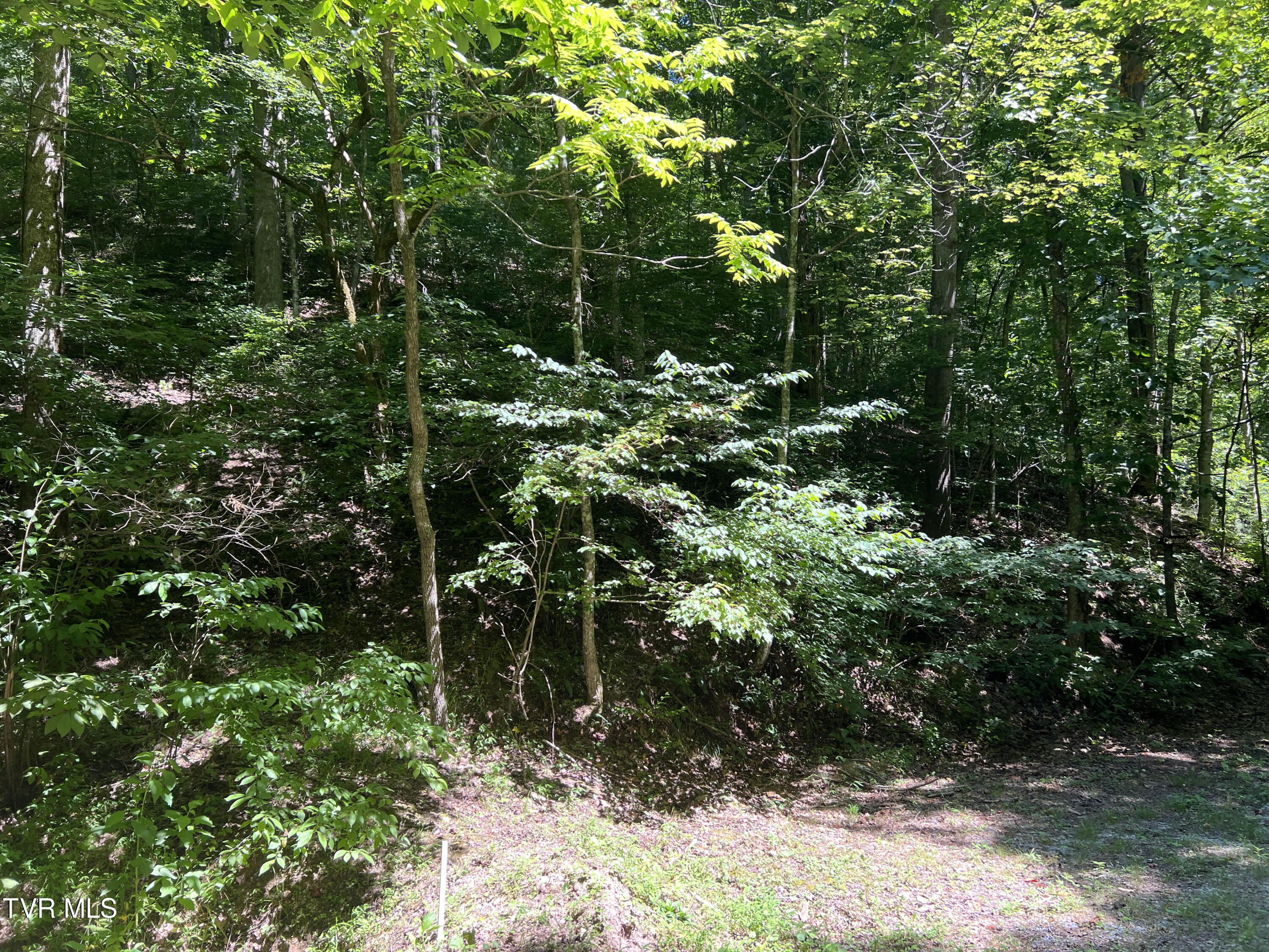 Tbd Canaan Road, Butler, Tennessee image 7