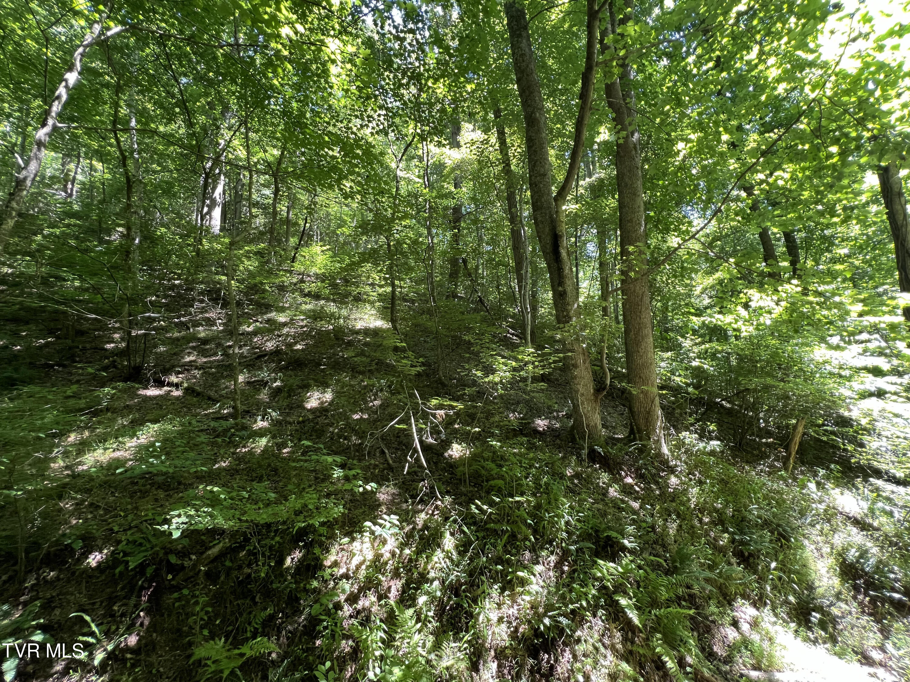 Tbd Canaan Road, Butler, Tennessee image 2