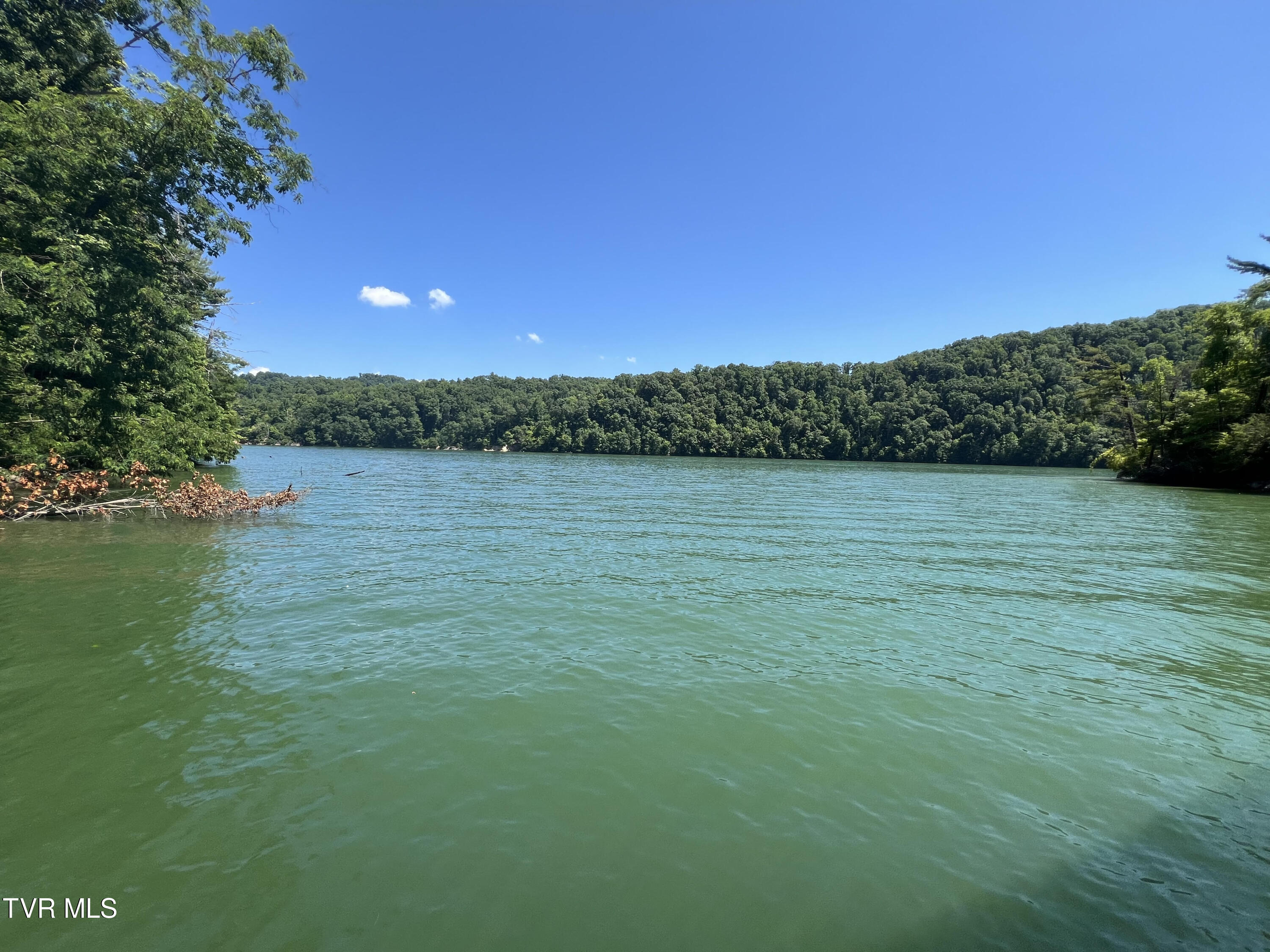 Tbd Canaan Road, Butler, Tennessee image 11