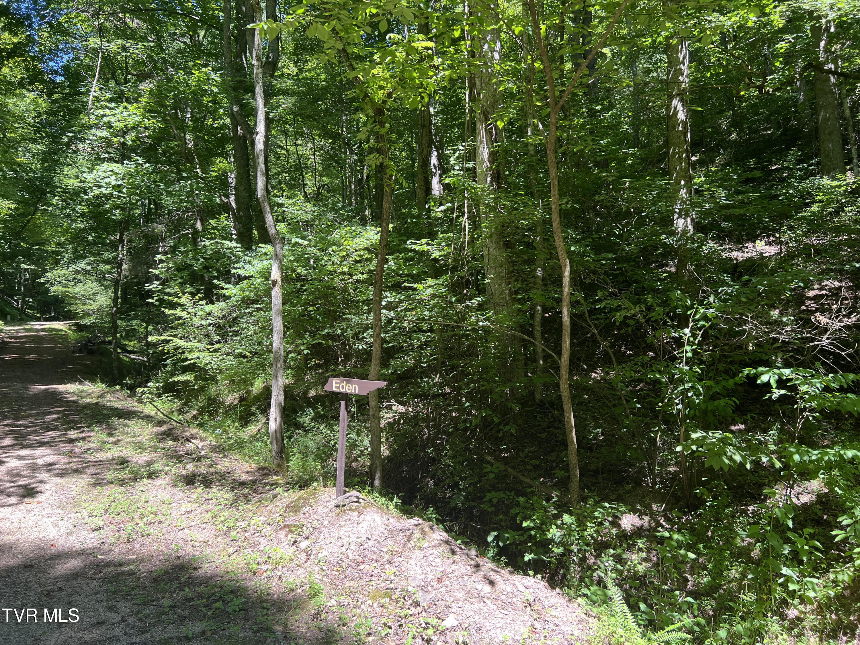 Tbd Canaan Road, Butler, Tennessee image 6