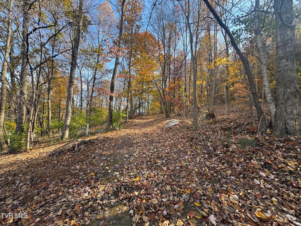 Photo of 119 Rhododendron Lane, Johnson City, TN 37601 (MLS # 9988361)