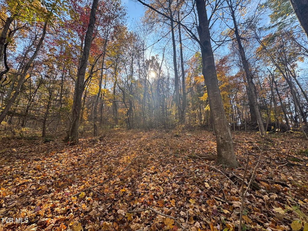 Photo of 119 Rhododendron Lane, Johnson City, TN 37601 (MLS # 9988361)