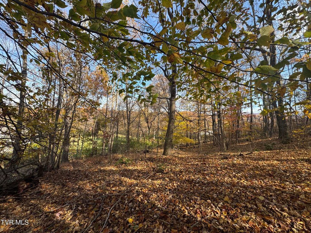 Photo of 119 Rhododendron Lane, Johnson City, TN 37601 (MLS # 9988361)